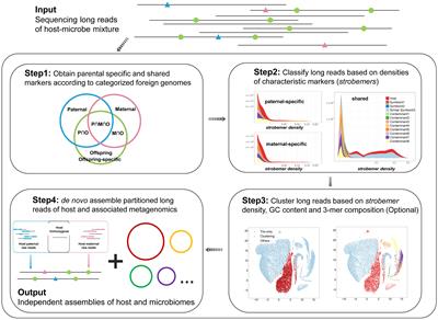 Symbiont-screener: A reference-free tool to separate host sequences from symbionts for error-prone long reads